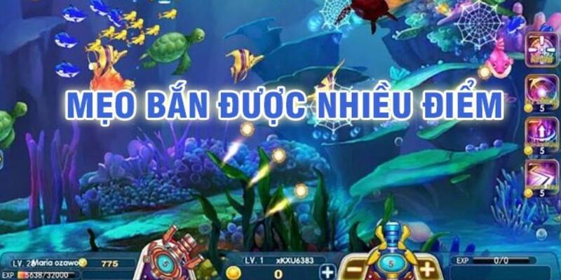 ku11net đá gà