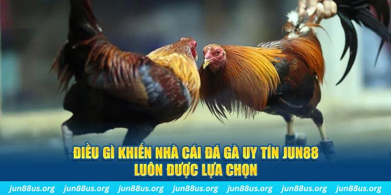 ku11net bắn cá 30