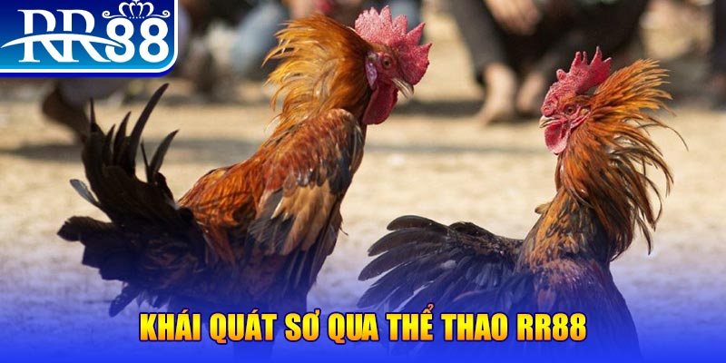 ku11net baccarat bịp như thế nào