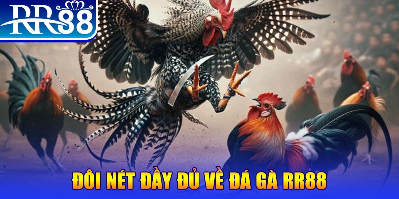 ku11net 1 slot là gì
