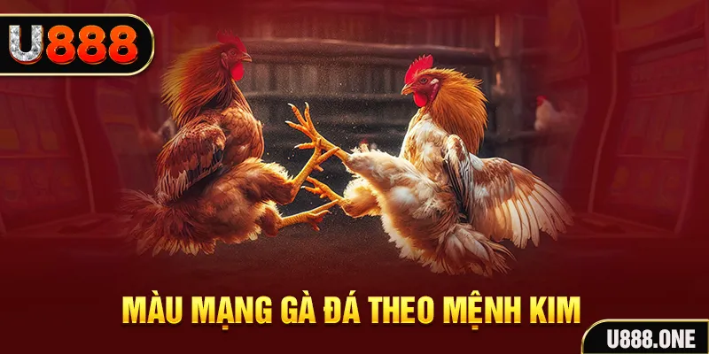 ku11net gà chọi tiêu phong