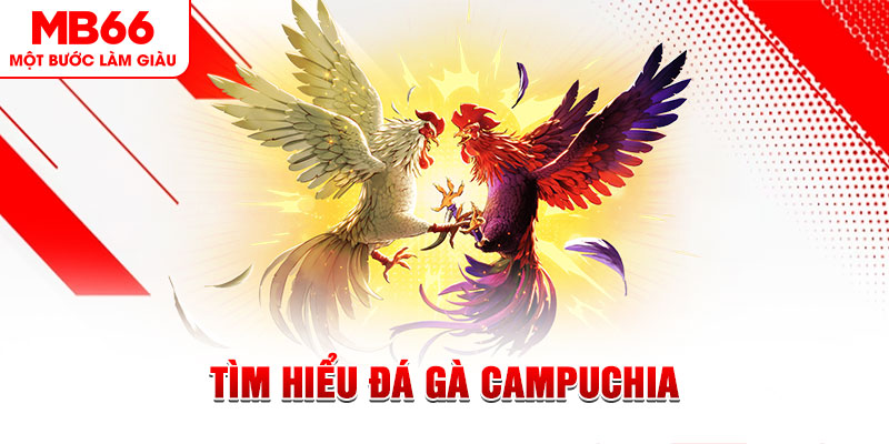 ku11net tại sao không tải được nổ hũ
