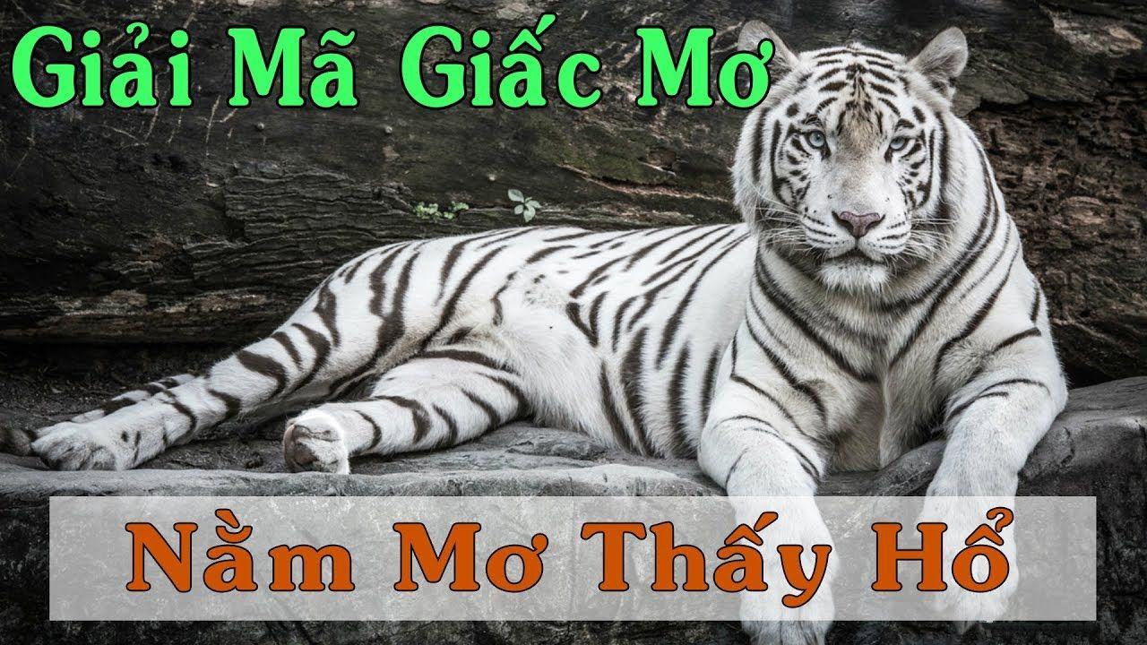 ku11net xổ số miền trung