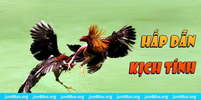 ku11net bắn cá long vương