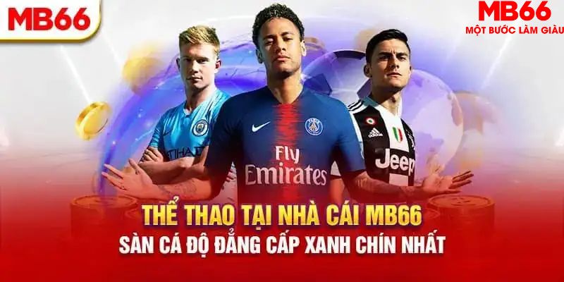 ku11net HB Điện Tử