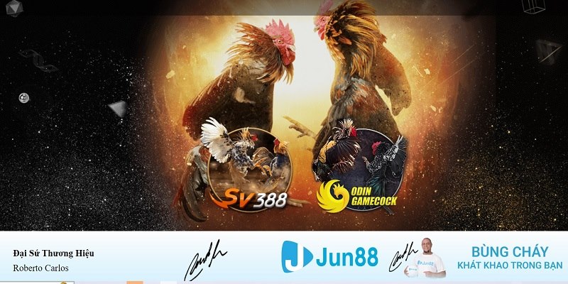 ku11net xổ số miền nam hàng tuần