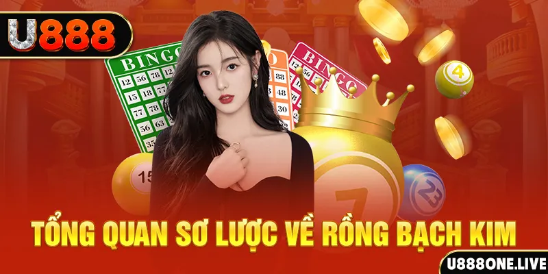 ku11net how to win at slot machines