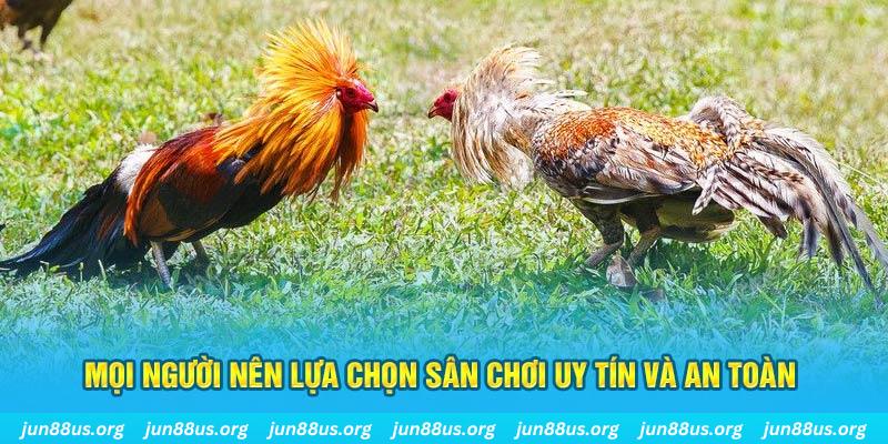 ku11net hơn cả bạn bè
