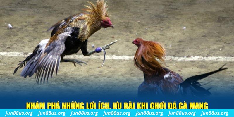 ku11net Tài Xỉu 2
