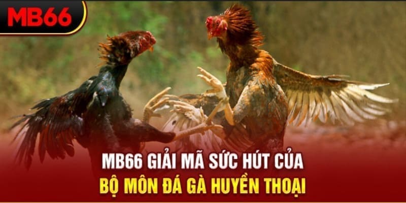 ku11net long bảo trong baccarat là gì
