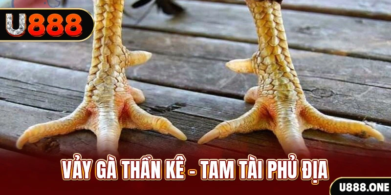 ku11net xổ số 30 ngày