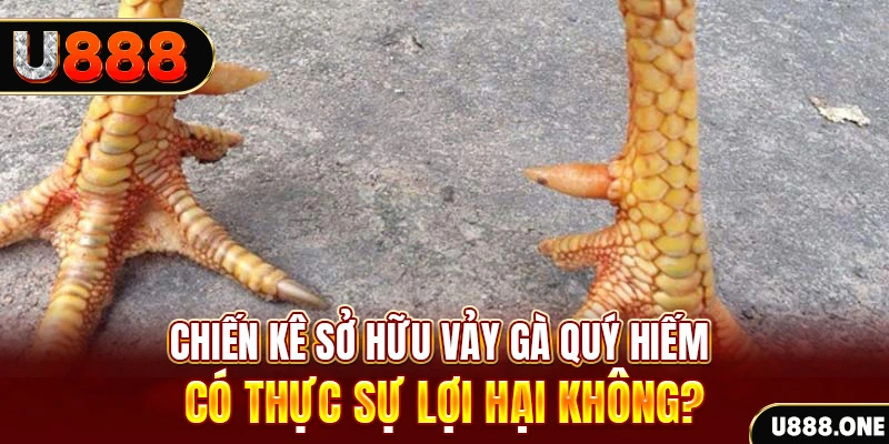 ku11net game cá cược máy bay