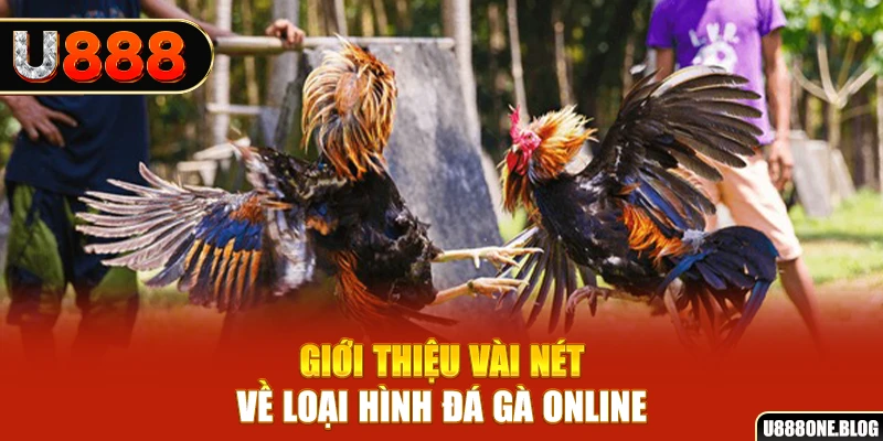 ku11net xổ số miền nam thứ ba