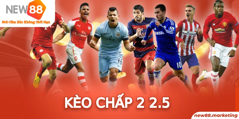 ku11net trực tiếp đá gà thomo