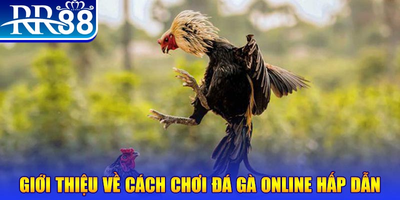 ku11net nổ hũ 2 mặt là gì
