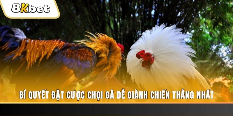 ku11net may club nổ hũ