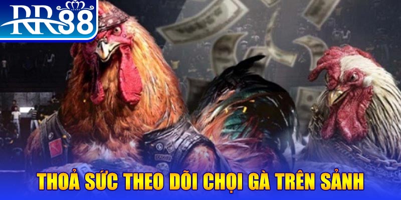 ku11net NE Điện Tử