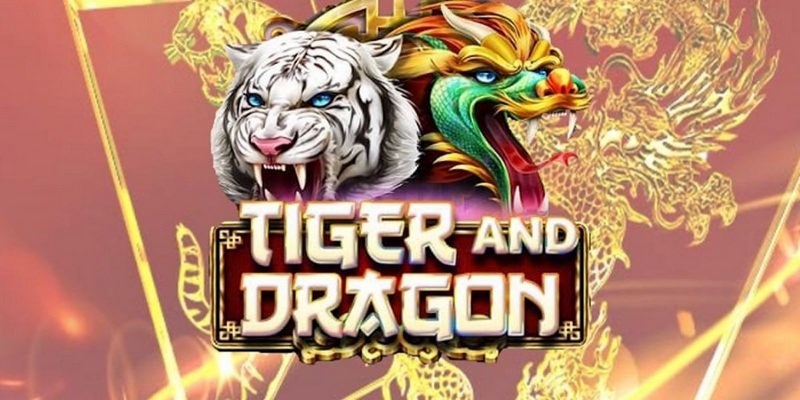ku11net cá cược tiếng anh là gì