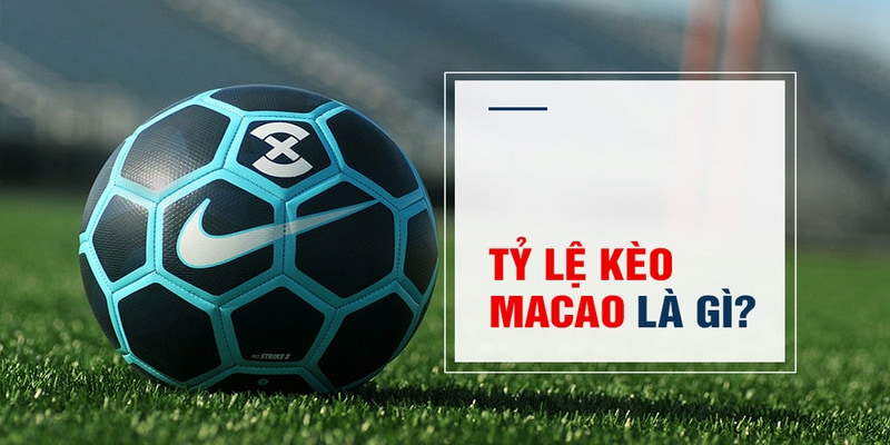 ku11net Trăm Knorr