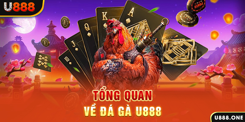 ku11net chạy quảng cáo cho game bài bị phạt như thế nào